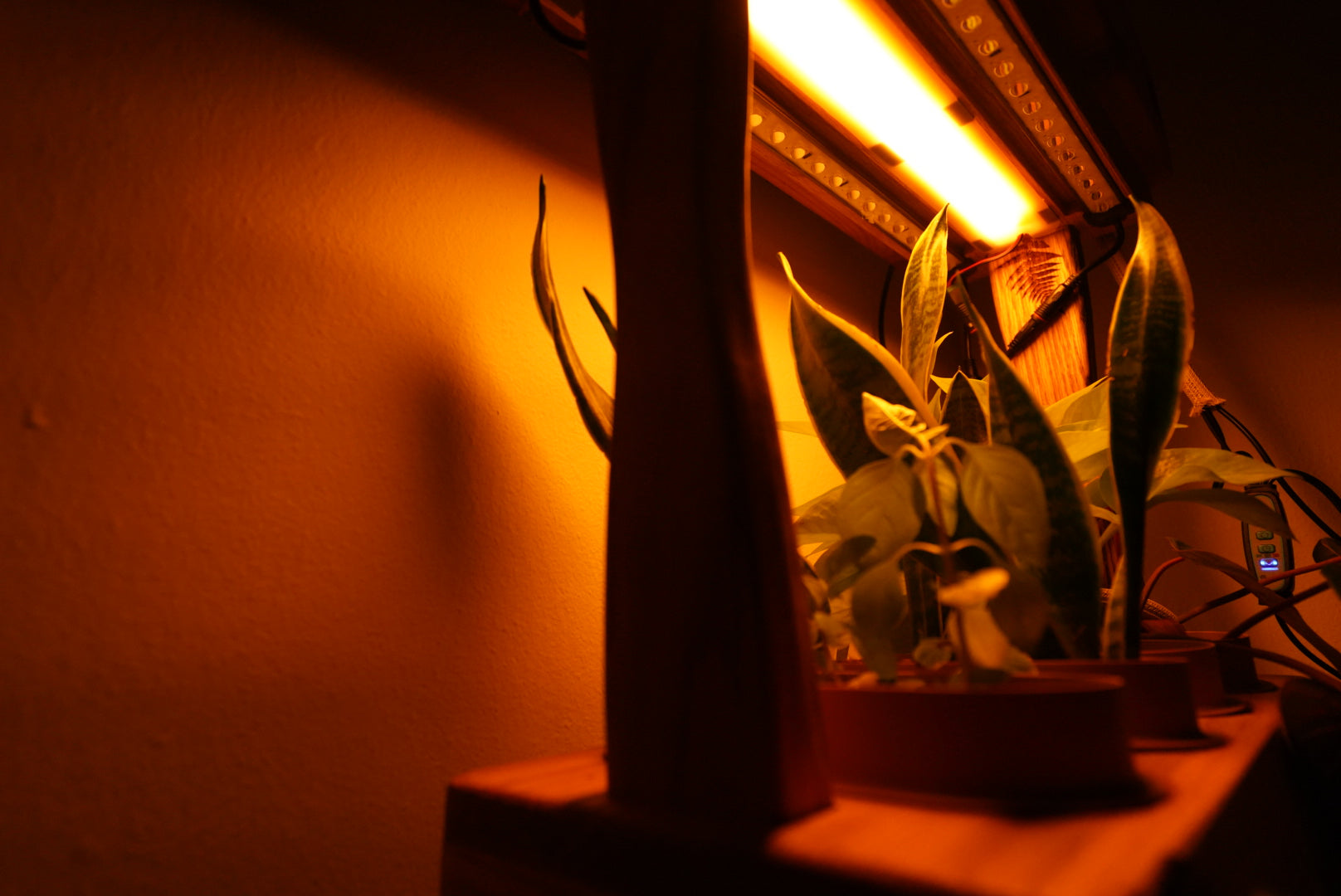 Aera Desktop Garden — Indoor Herb Garden Lamp with Self-Watering
