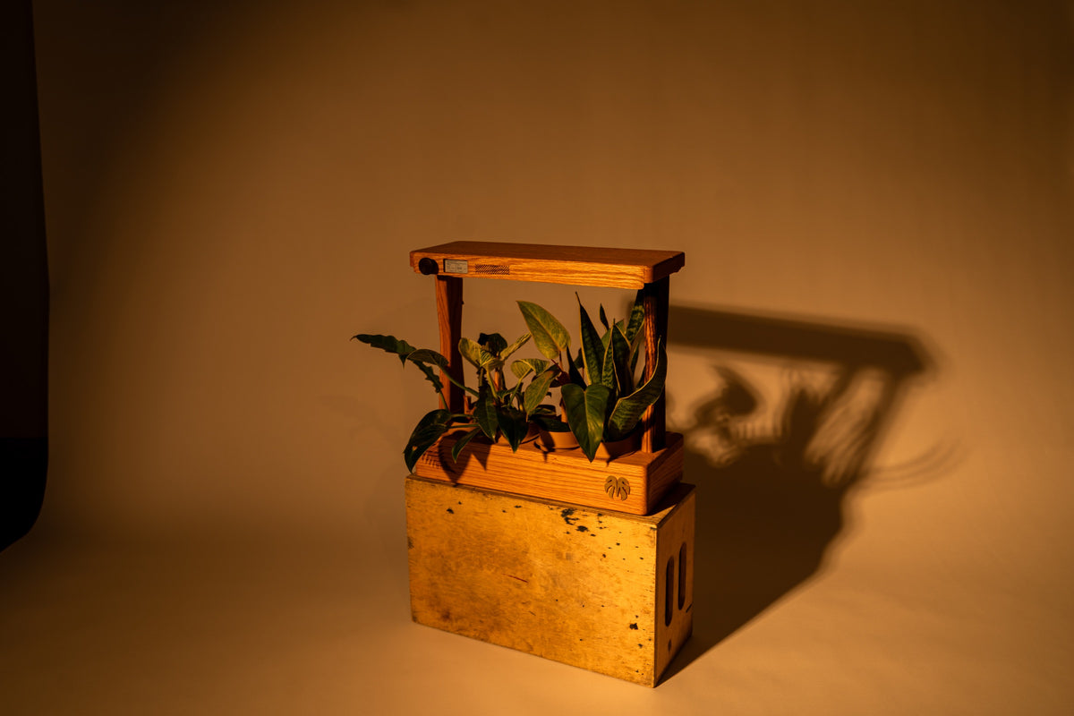 Aera Sense - Indoor Garden with Air Quality Monitor
