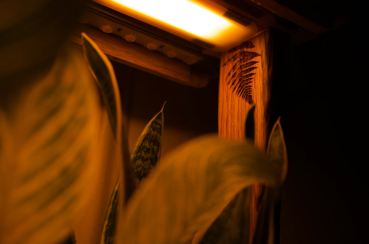 Aera Sense - Indoor Garden with Air Quality Monitor