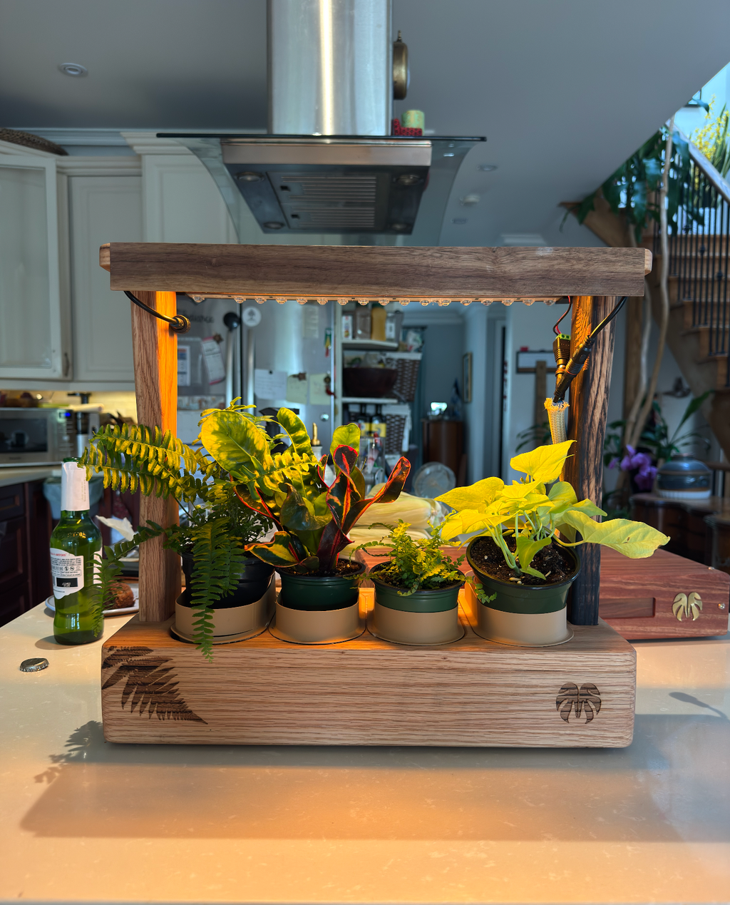 Aera Garden — Indoor Herb Garden Lamp with Self-Watering