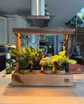 Aera Garden — Indoor Herb Garden Lamp with Self-Watering