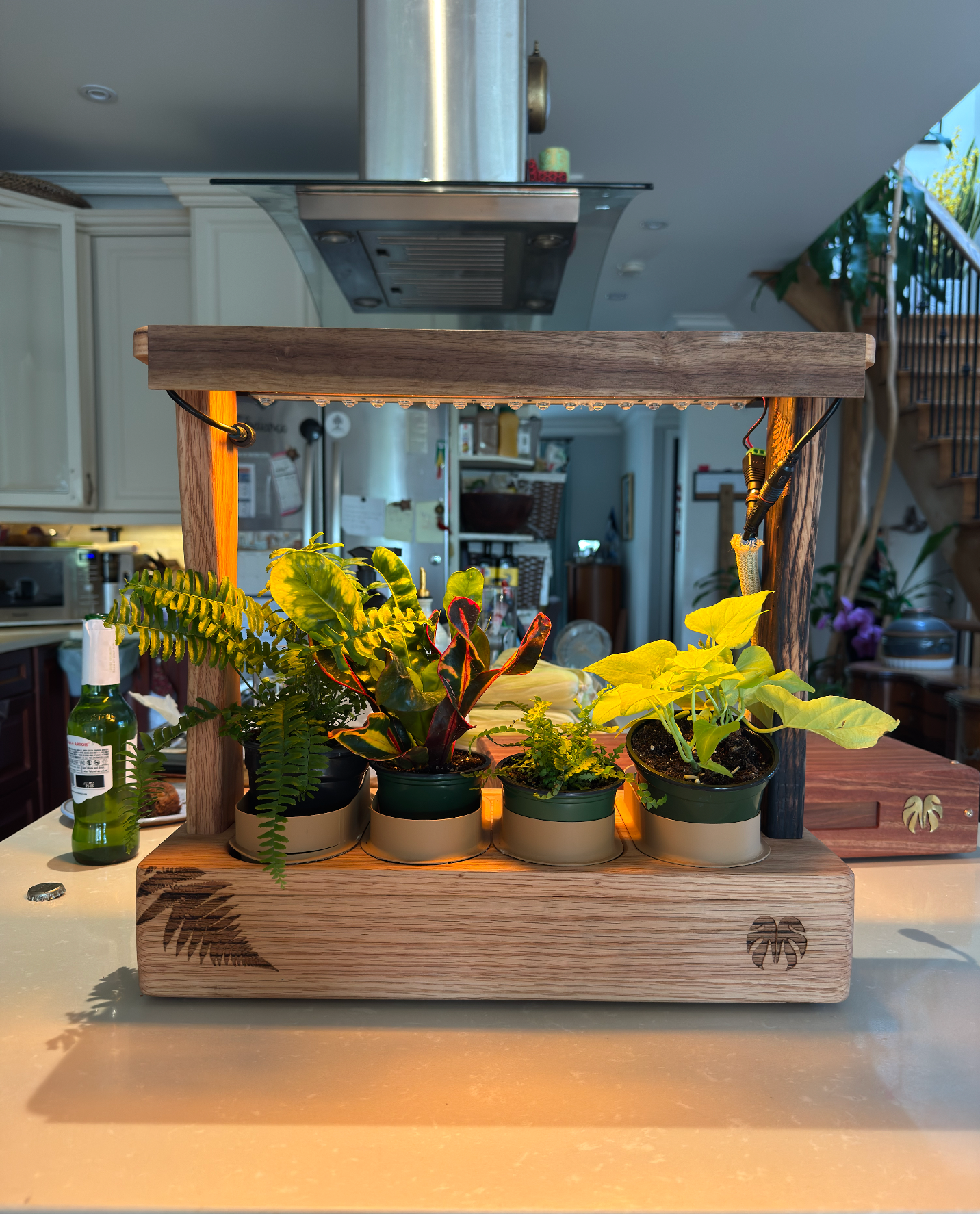 Aera Desktop Garden — Indoor Herb Garden Lamp with Self-Watering