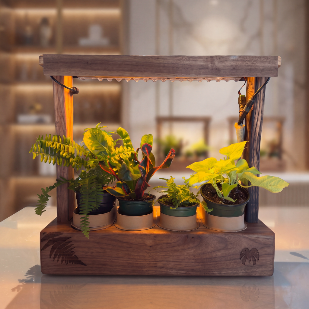 Aera Garden — Indoor Herb Garden Lamp with Self-Watering