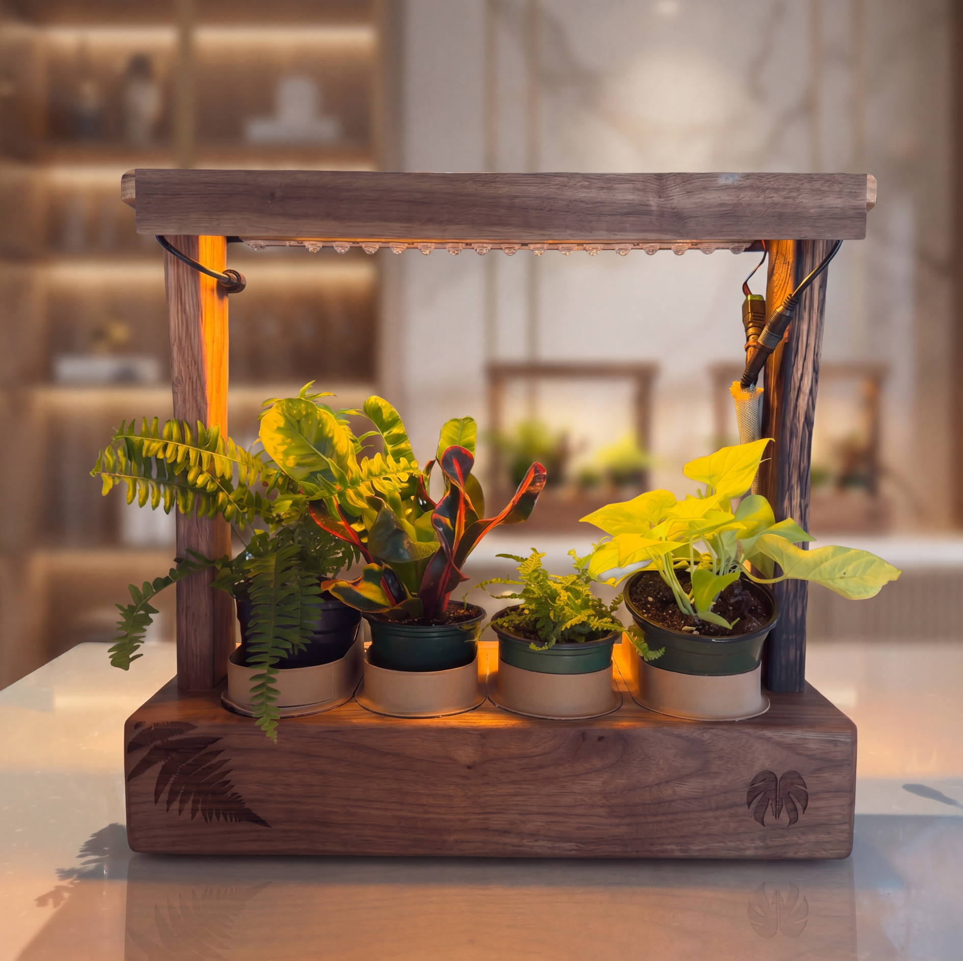 Aera Desktop Garden — Indoor Herb Garden Lamp with Self-Watering