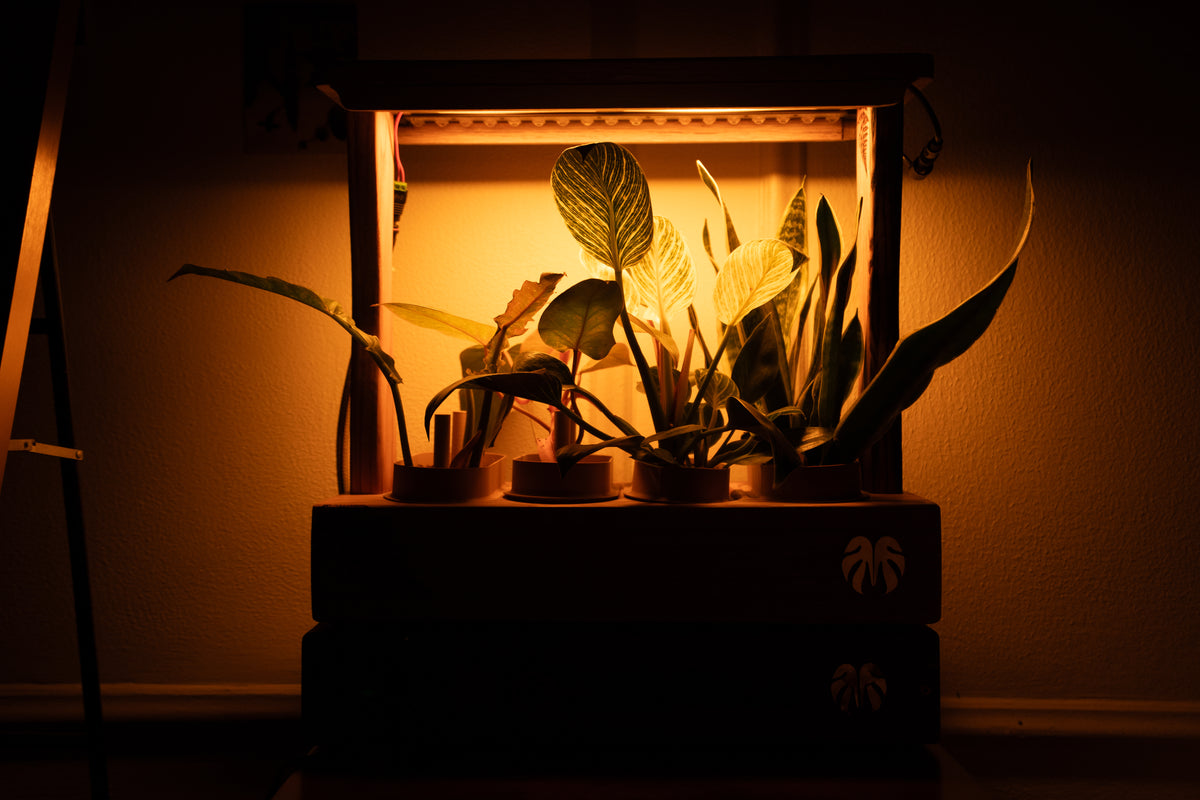 Aera Sense - Indoor Garden with Air Quality Monitor